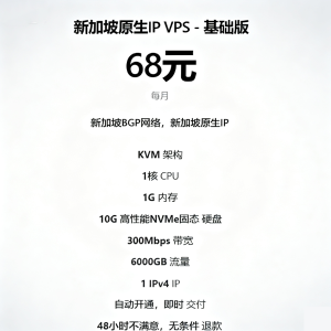 丽萨主机新加坡家宽VPS原生ISP住宅IP、高速带宽