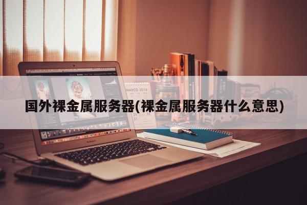 国外裸金属<strong>服务器</strong>(裸金属<strong>服务器</strong>什么意思)