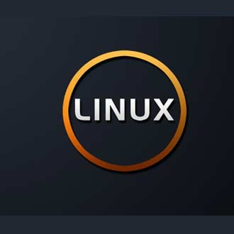 经验之谈如何在<strong>服务器</strong>上安装专业版的linux呢？
