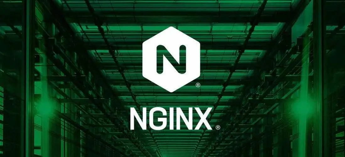 nginx<strong>服务器</strong>绑定域名的详细教程