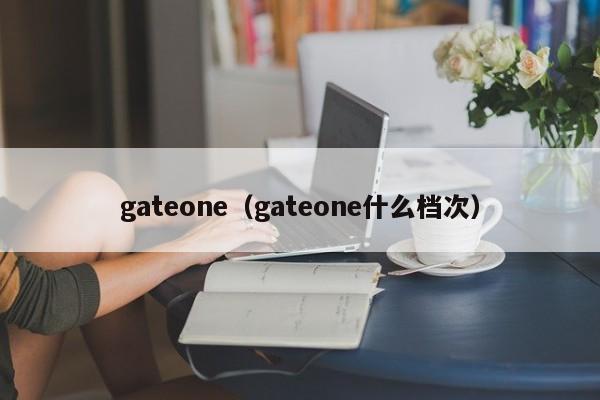 gateonegateone什么档次