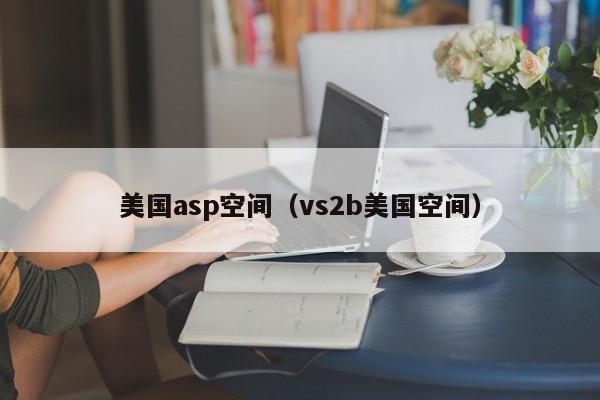 美国asp空间vs2b美国空间