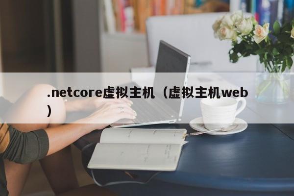 .netcore虚拟主机虚拟主机web