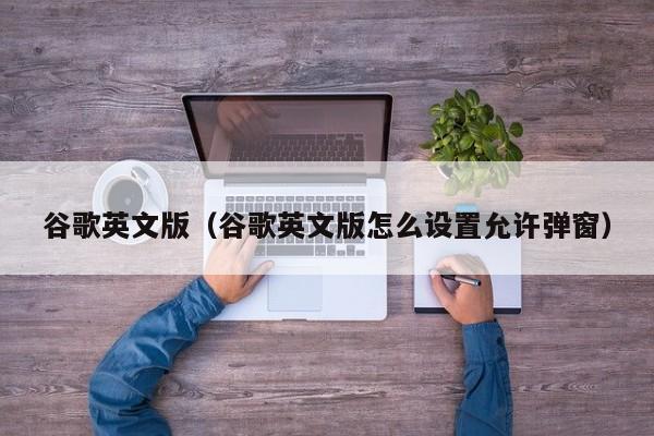 谷歌英文版谷歌英文版怎么设置允许弹窗