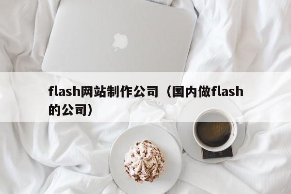 flash网站制作公司国内做flash的公司