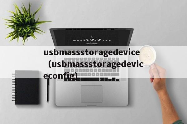 usbmassstoragedeviceusbmassstoragedeviceconfig