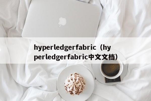 hyperledgerfabrichyperledgerfabric中文文档