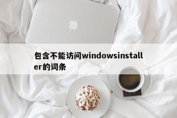 包含不能访问windowsinstaller的词条