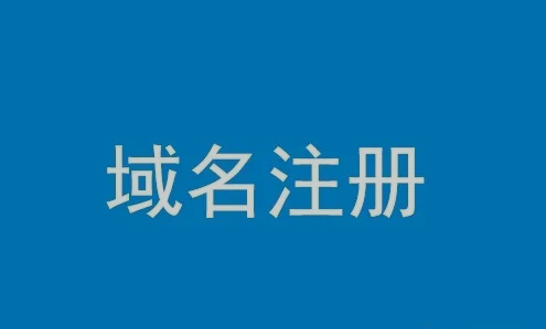 域名注册查询流程