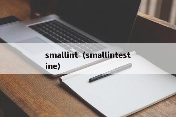 smallintsmallintestine