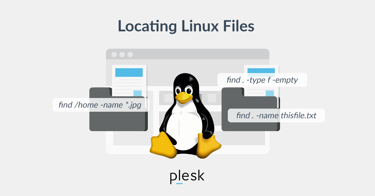 如何在Linux<strong>服务器</strong>上查找文件夹？