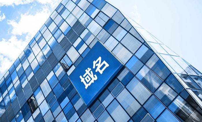 whois域名查询结果说明