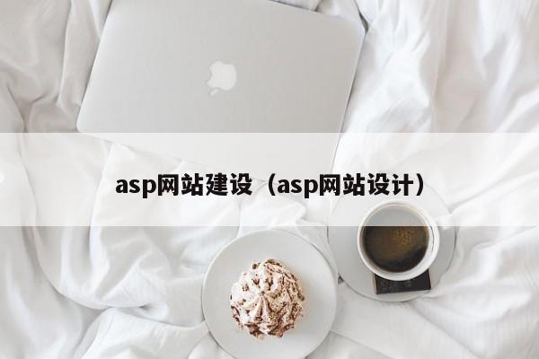 asp网站建设asp网站设计