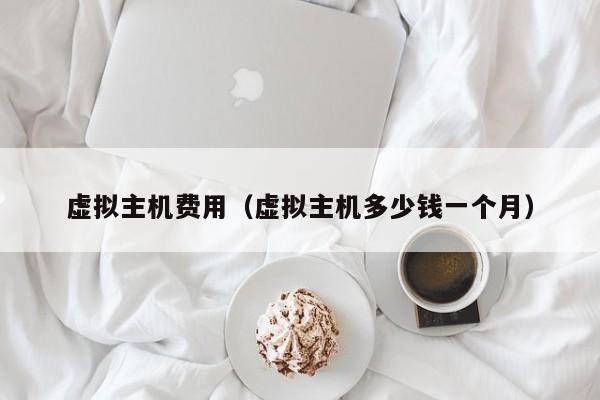 虚拟主机费用虚拟主机多少钱一个月