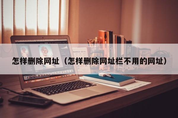 怎样删除网址怎样删除网址栏不用的网址