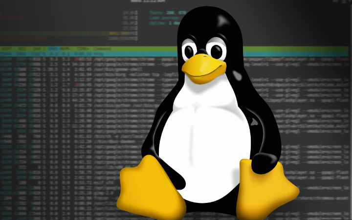 linux常用命令（一）