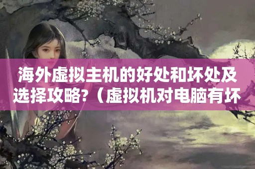 海外虚拟主机的好处和坏处及选择攻略?（虚拟机对电脑有坏处吗?）