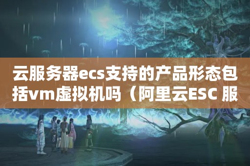 云服务器ecs支持的产品形态包括vm虚拟机吗（阿里云ESC 服务器 虚拟主机配置）