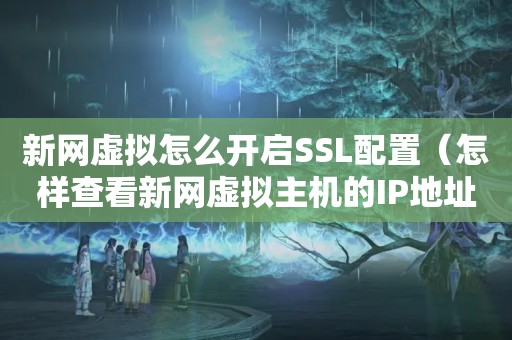 新网虚拟怎么开启SSL配置（怎样查看新网虚拟主机的IP地址）