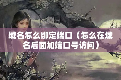 域名怎么绑定端口（怎么在域名后面加端口号访问）