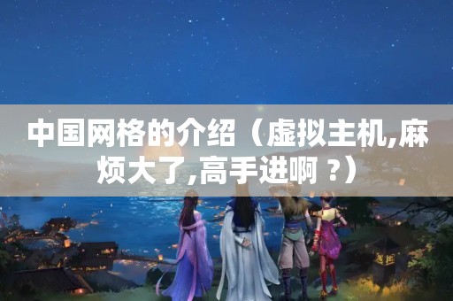 中国网格的介绍（虚拟主机,麻烦大了,高手进啊 ?）