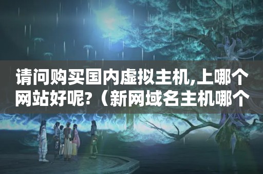 请问购买国内虚拟主机,上哪个网站好呢?（新网域名主机哪个好）