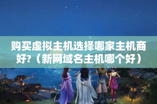 购买虚拟主机选择哪家主机商好?（新网域名主机哪个好）