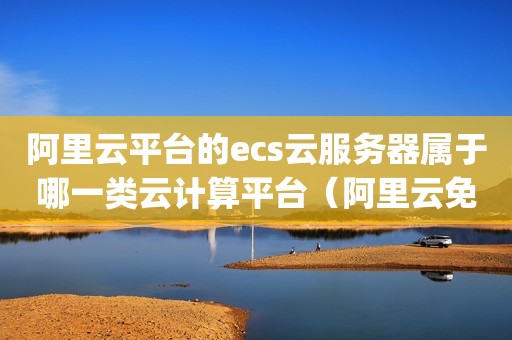 阿里云平台的ecs云服务器属于哪一类云计算平台（阿里云免费云服务器 windows c盘40g 怎么分区）