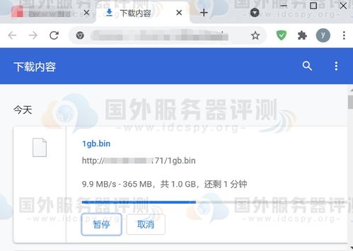 在哪里可以找到靠谱的hostingviet服务？