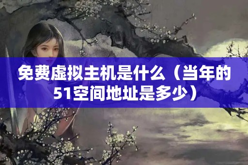 免费虚拟主机是什么（当年的51空间地址是多少）