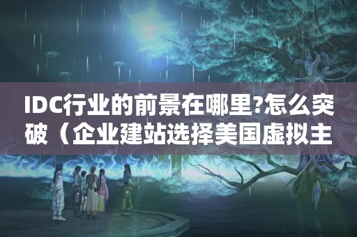 IDC行业的前景在哪里?怎么突破（企业建站选择美国虚拟主机怎么样）