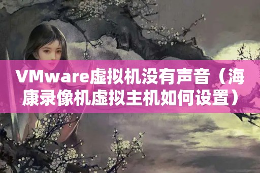 VMware虚拟机没有声音（海康录像机虚拟主机如何设置）