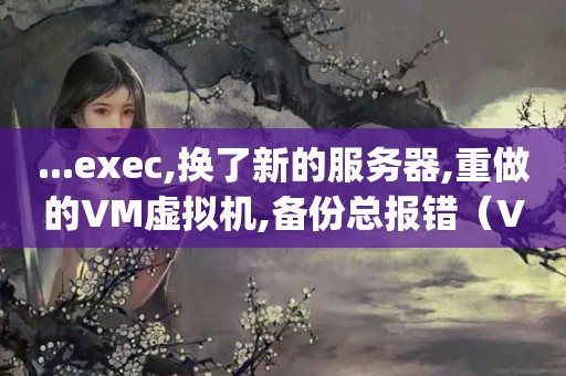 ...exec,换了新的服务器,重做的VM虚拟机,备份总报错（VMware+Workstation+17+Player虚拟机如何备份?）