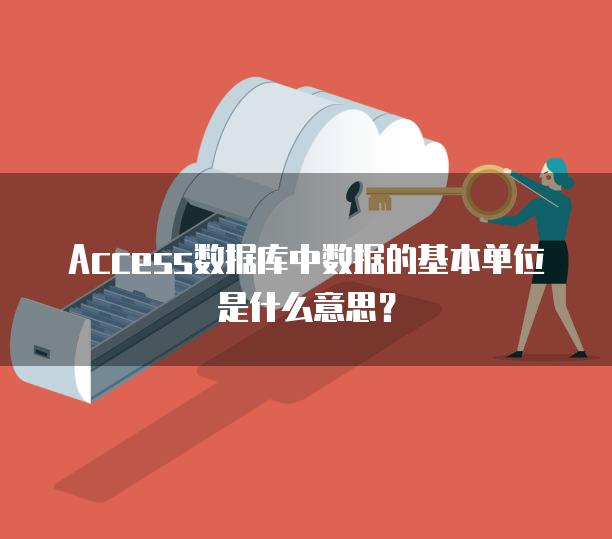 Access数据库中数据的基本单位是什么意思？