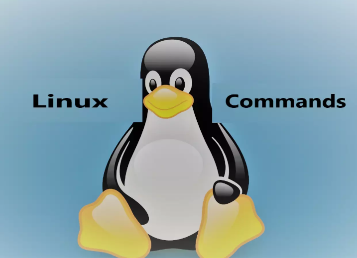 初学者必备的12个Linux命令