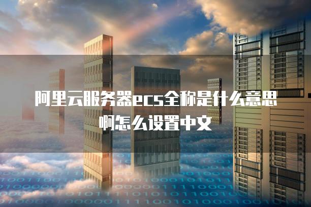 阿里云服务器ecs全称是什么意思啊怎么设置中文