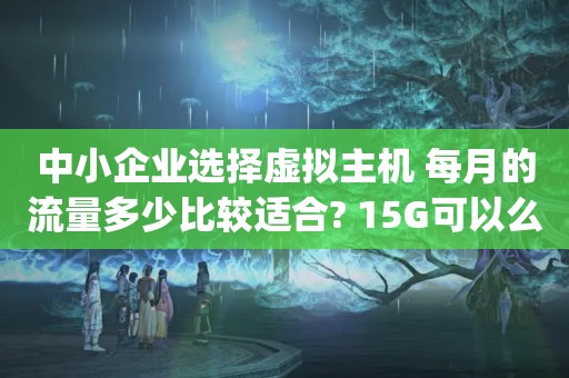 中小企业选择虚拟主机 每月的流量多少比较适合? 15G可以么?（虚拟主机月流量15g是什么概念）