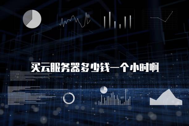 买云服务器多少钱一个小时啊