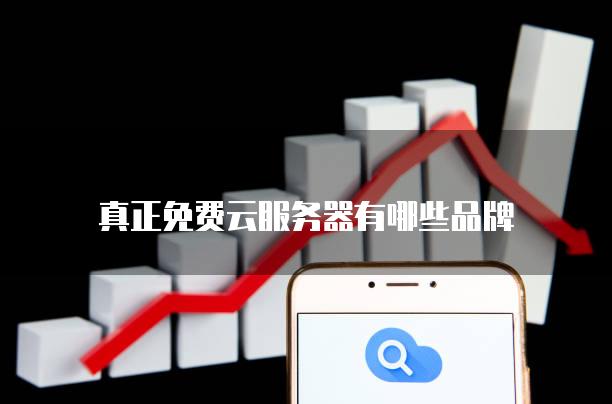 真正免费云服务器有哪些品牌