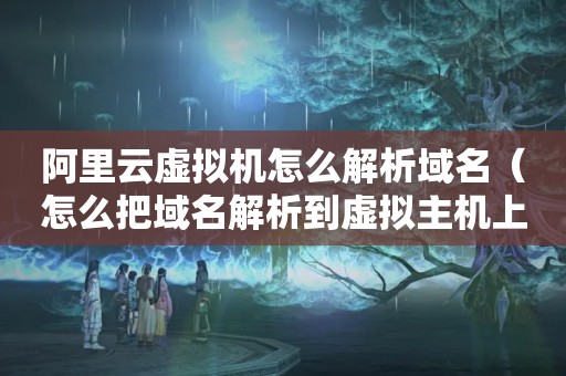 阿里云虚拟机怎么解析域名（怎么把域名解析到虚拟主机上?）