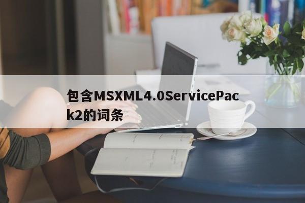 包含MSXML4.0ServicePack2的词条
