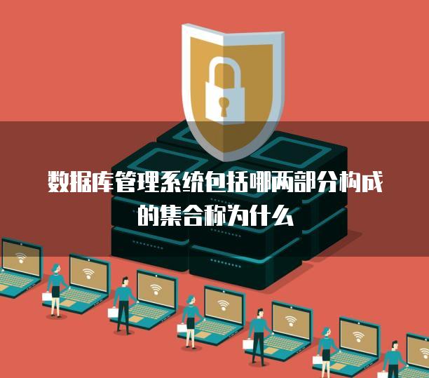 数据库管理系统包括哪两部分构成的集合称为什么