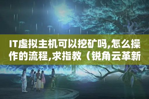 IT虚拟主机可以挖矿吗,怎么操作的流程,求指教（锐角云革新性三角形主机的“挖矿”原理解读）