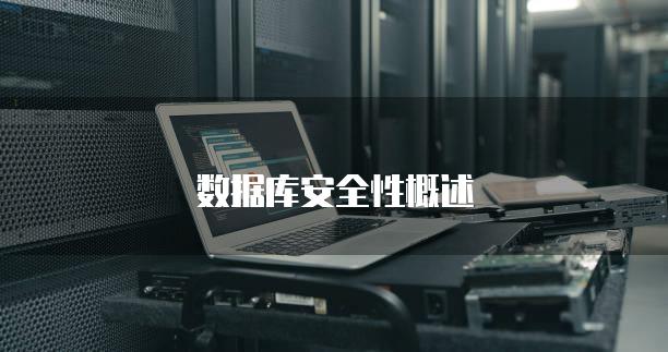 数据库安全性概述