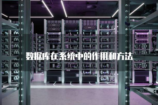 数据库在系统中的作用和方法