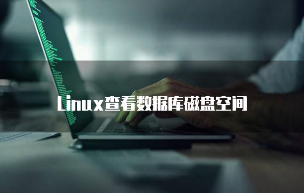 Linux查看数据库磁盘空间