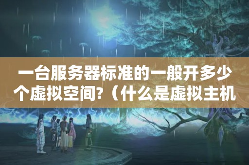 一台服务器标准的一般开多少个虚拟空间?（什么是虚拟主机,企业网站需要多大空间?）
