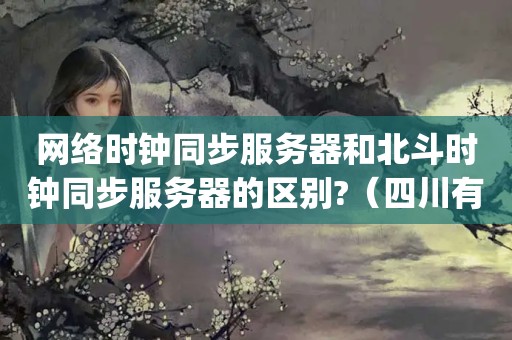 网络时钟同步服务器和北斗时钟同步服务器的区别?（四川有哪几家公司生产北斗(定位/授时)模块啊?）