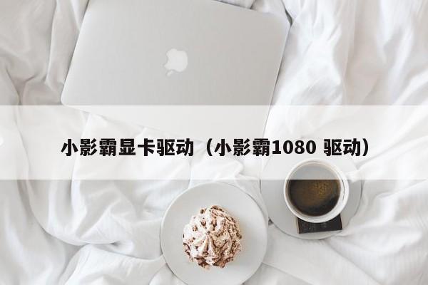 小影霸显卡驱动小影霸1080 驱动