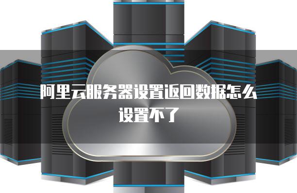 阿里云服务器设置返回数据怎么设置不了